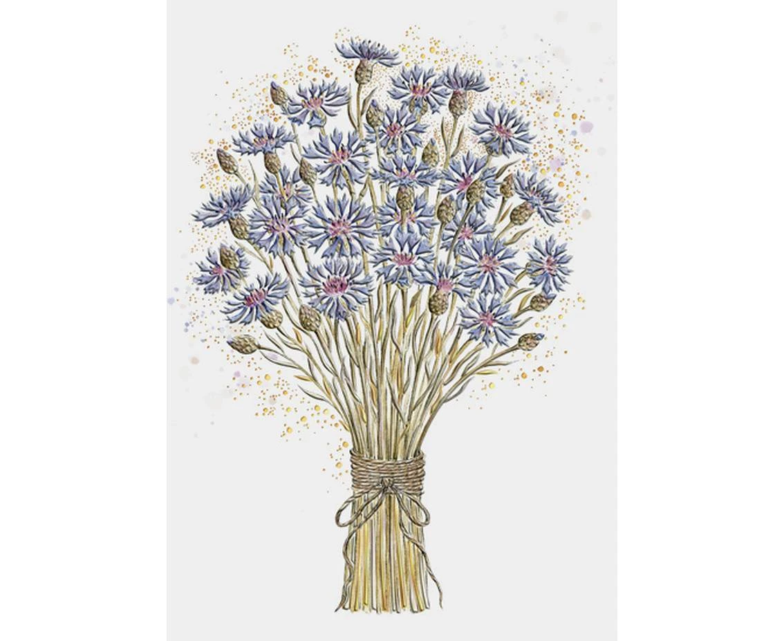 Greeting card a5 cornflowers, 1 pc.